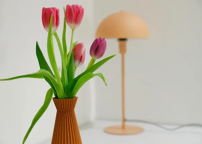 Boutique Piazza Grande 로카르노